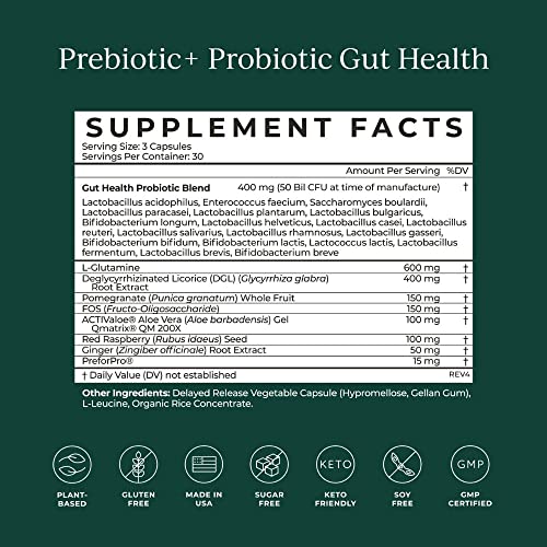 Probiotic Supplement | 50 Billion CFU, 90 Capsules, Gut Health & Immune Support