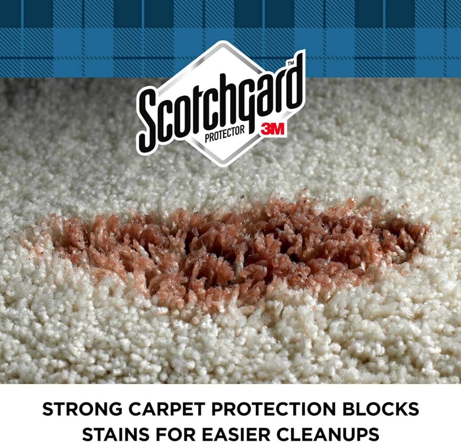 Rug & Carpet Protector Spray | Water-Resistant, 12 oz.