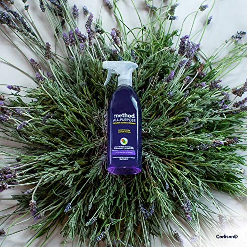 All-Purpose Surface Cleaner | Lavender Scent