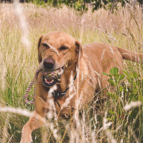 Dog Toy | Durable Hemp Rope, Cleans Teeth, Large Size