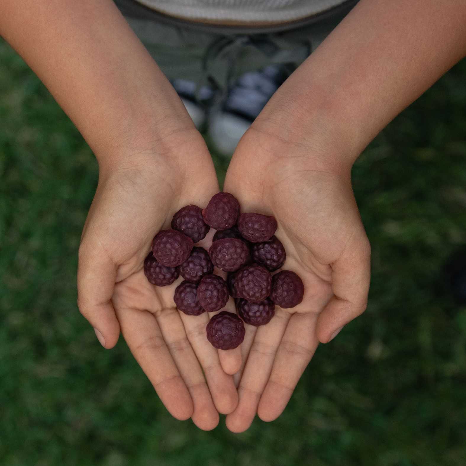 Ashwagandha Gummies for Kids and Teenagers