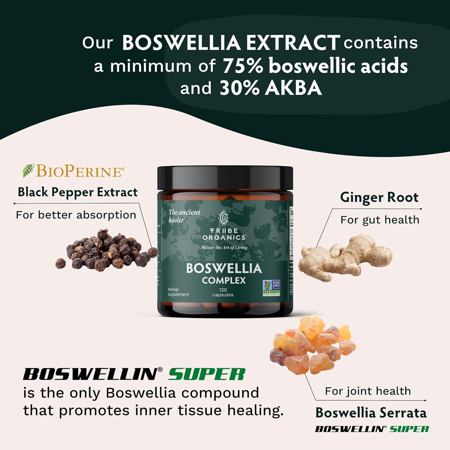 Boswellia Serrata Complex Supplement | Joint & Muscle Relief, 120 Capsules