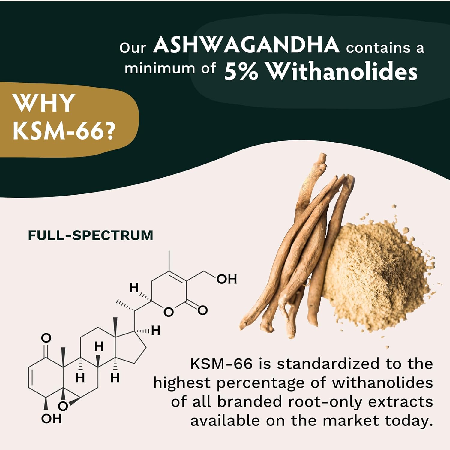 Ashwagandha Capsules | Organic Root Extract, 600mg, 120 Capsules