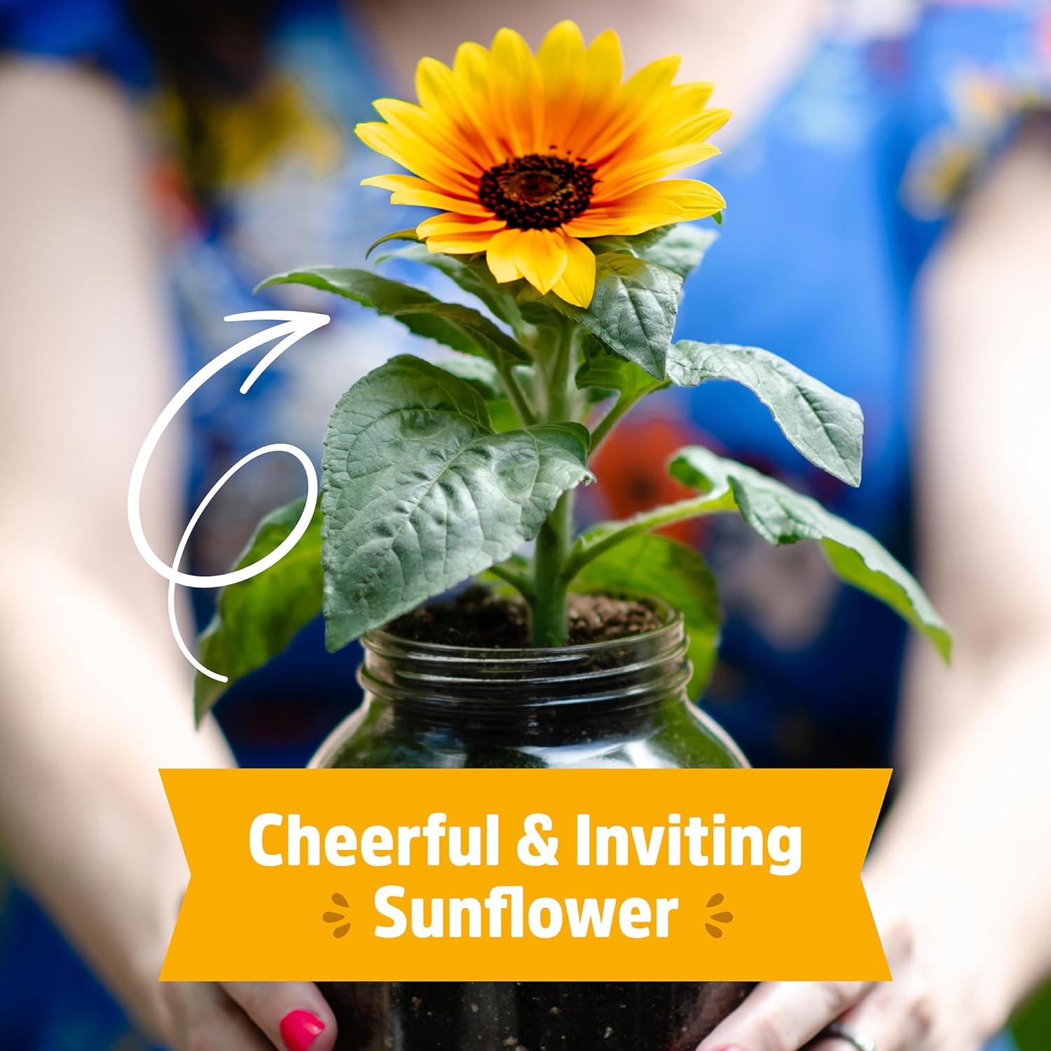 Organic Plant Grow Kit | Sunflower