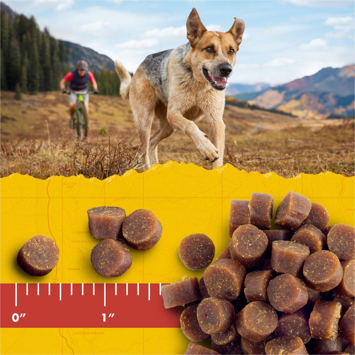 Dog Treats | Soft & Chewy, Peanut Butter & Oats, 16 oz