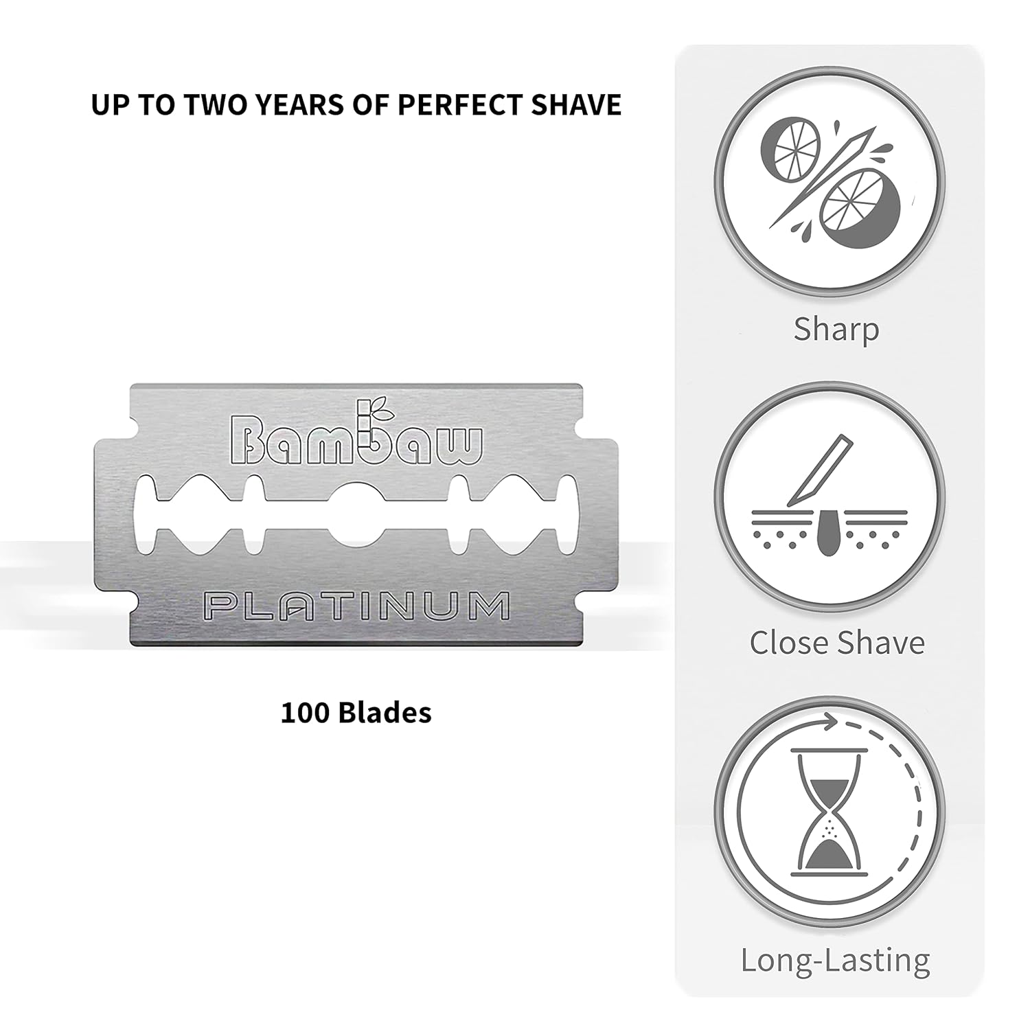 Razor Blades | Swedish Steel, 100 Pack, 18-24 Months Supply