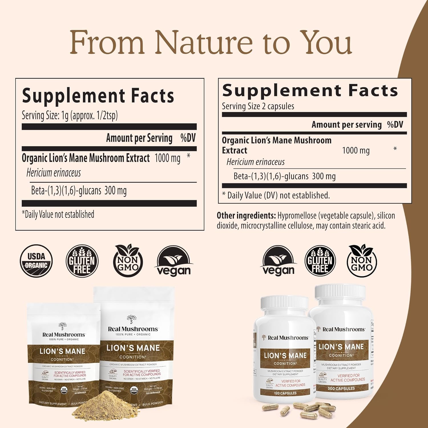 Mushroom Supplement | Lion's Mane, 120 Capsules