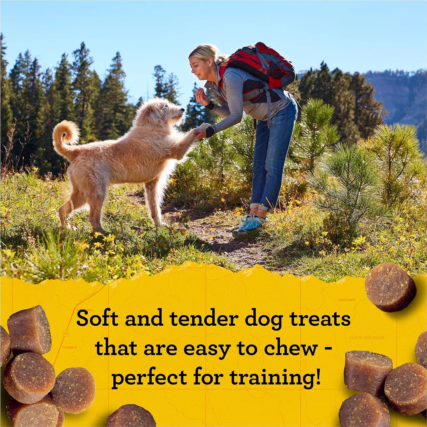 Dog Treats | Soft & Chewy, Peanut Butter & Oats, 16 oz