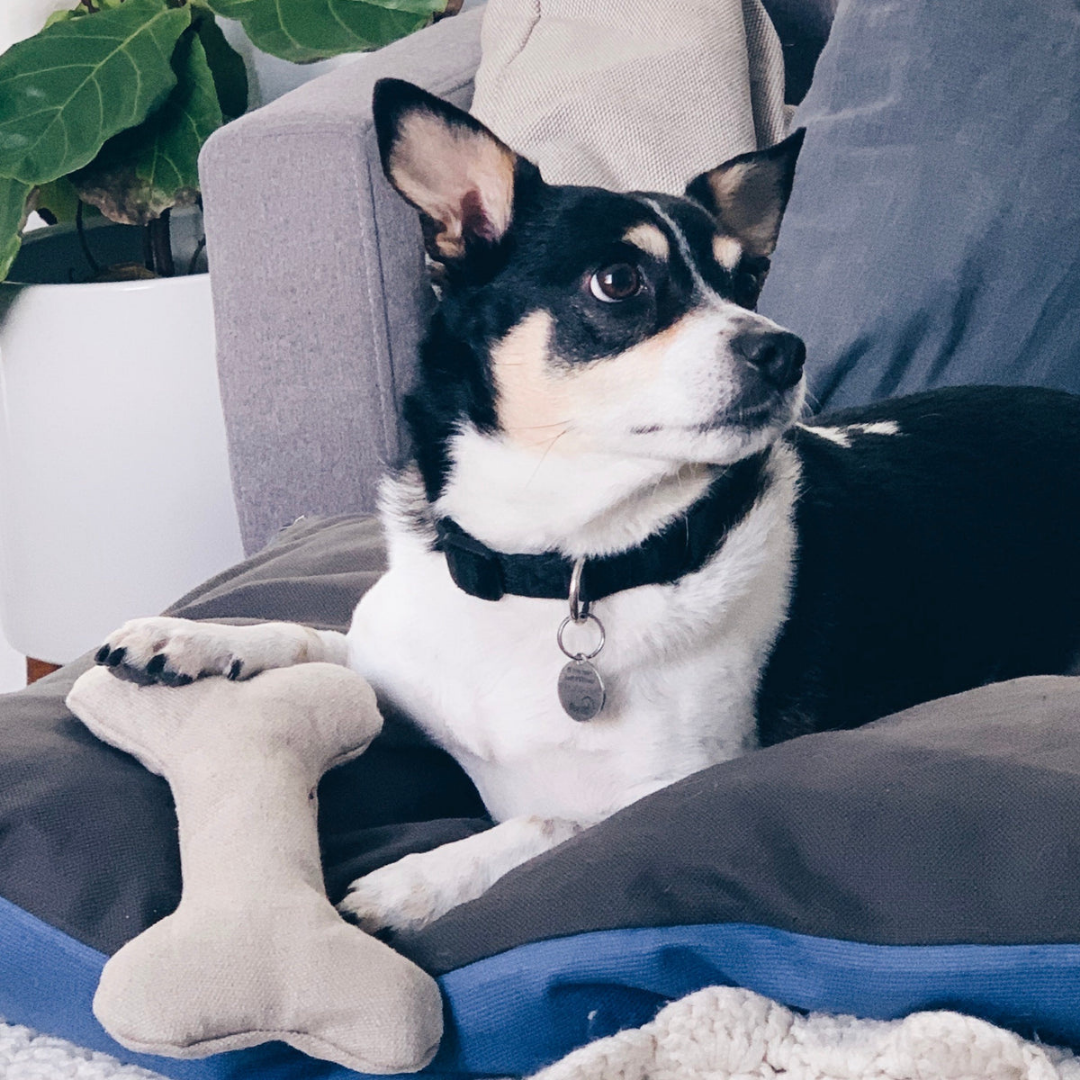 Hemp Dog Bone Toy for Gentle Chewers