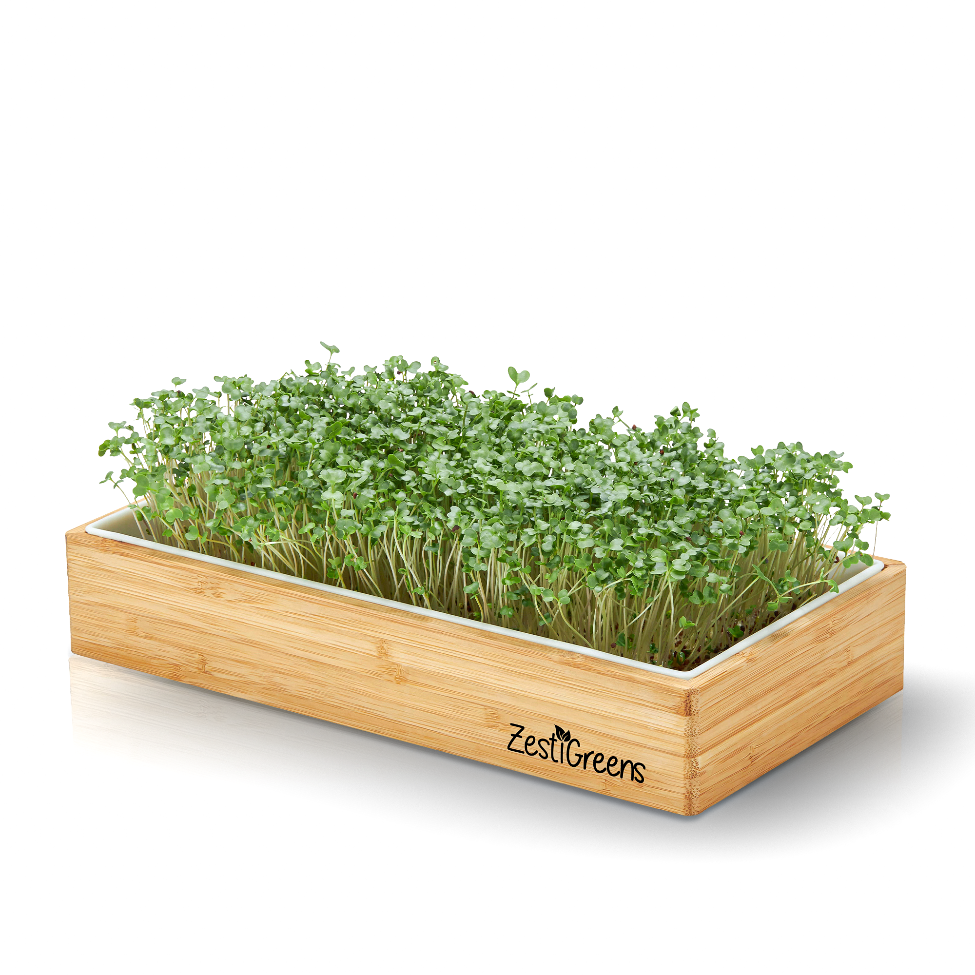 Microgreens Growing Kit | Self-Watering & No Soil, 3 Mats & Choice of Seeds