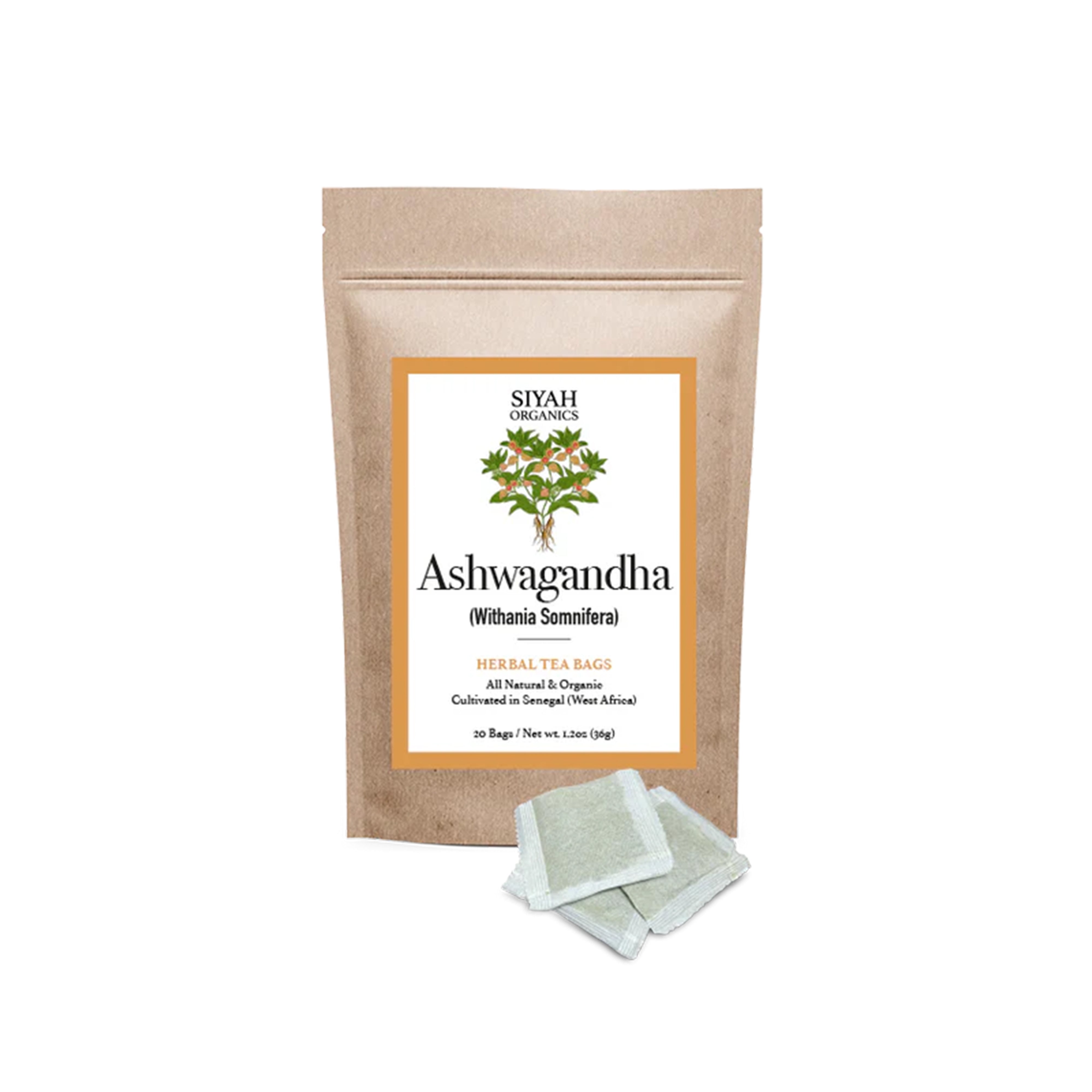 Ashwagandha Supplement