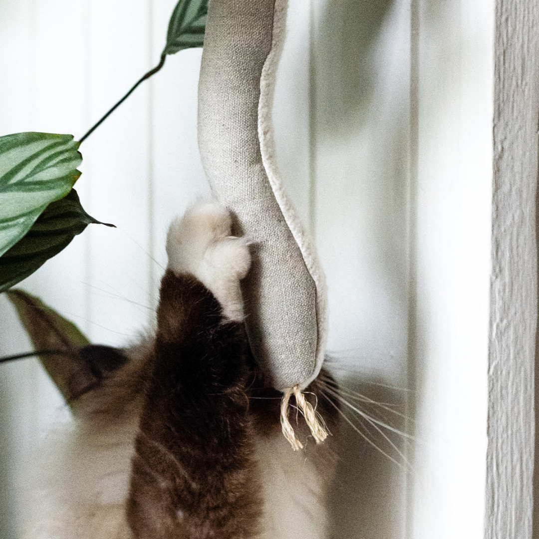 Snake Toy for Cats