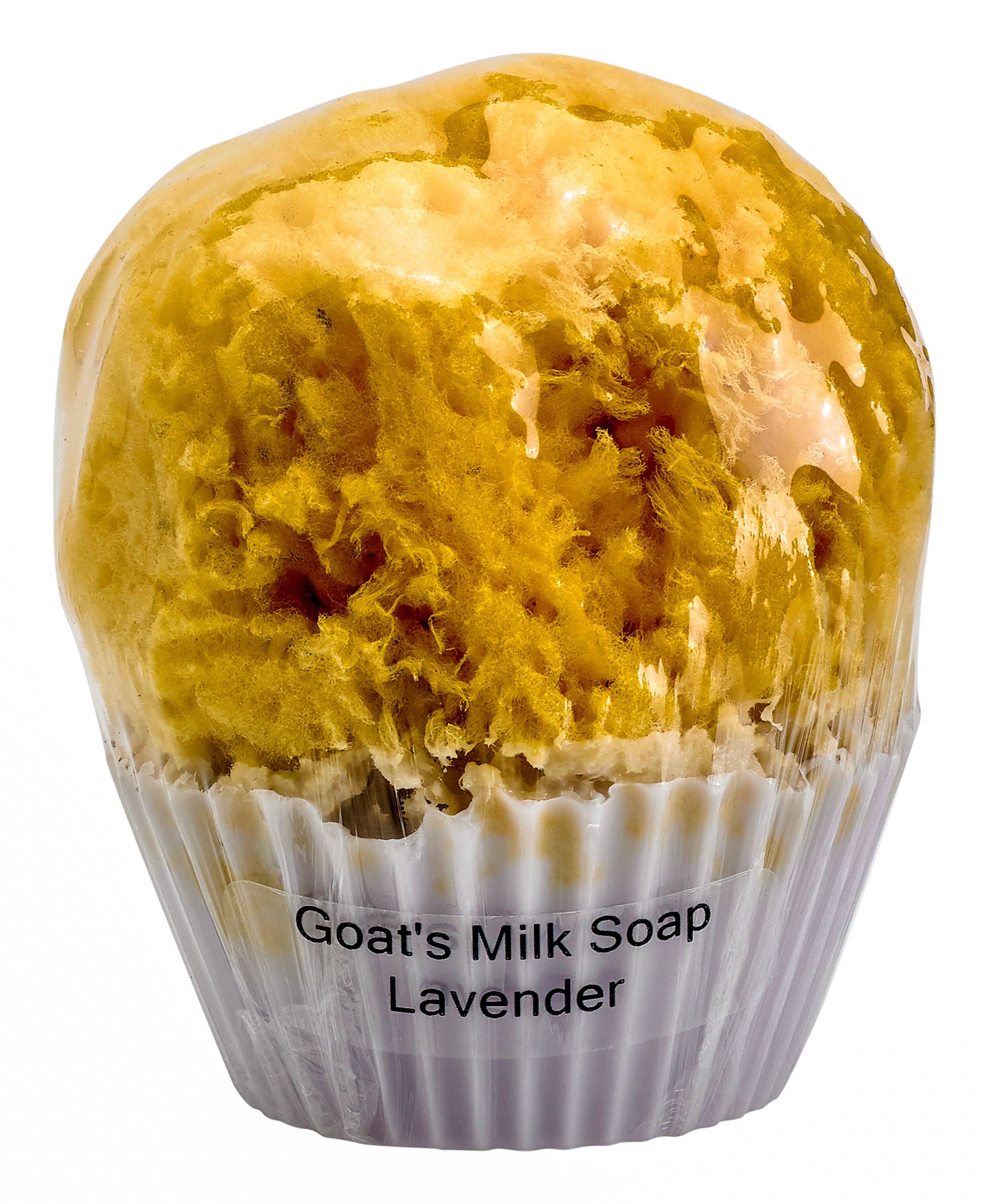 Goat's Milk and Olive Oil Cupcake Soap w/embedded Sea Sponge