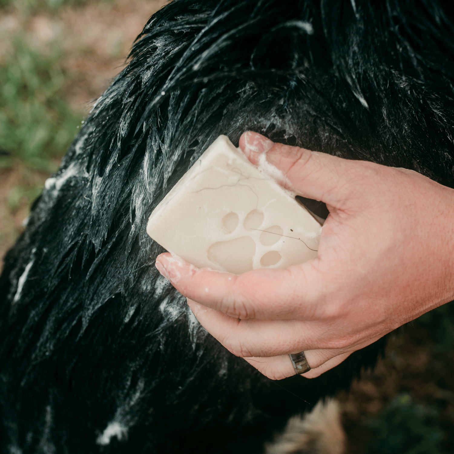 Pet Shampoo Bar - Zero Waste Dog Shampoo, All Natural, Vegan, Plastic Free, 4oz