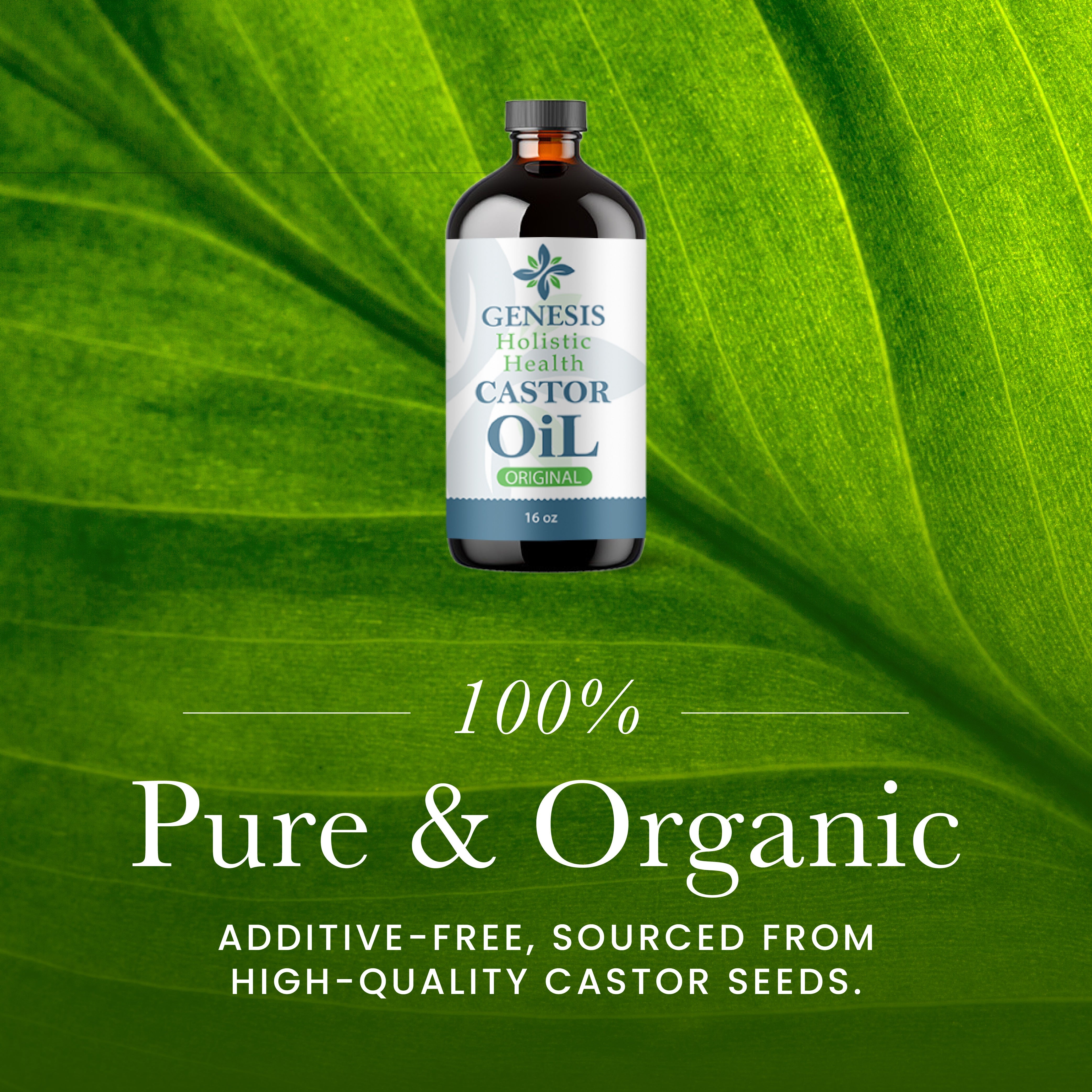 Castor Oil | 16 fl oz, Cold Pressed