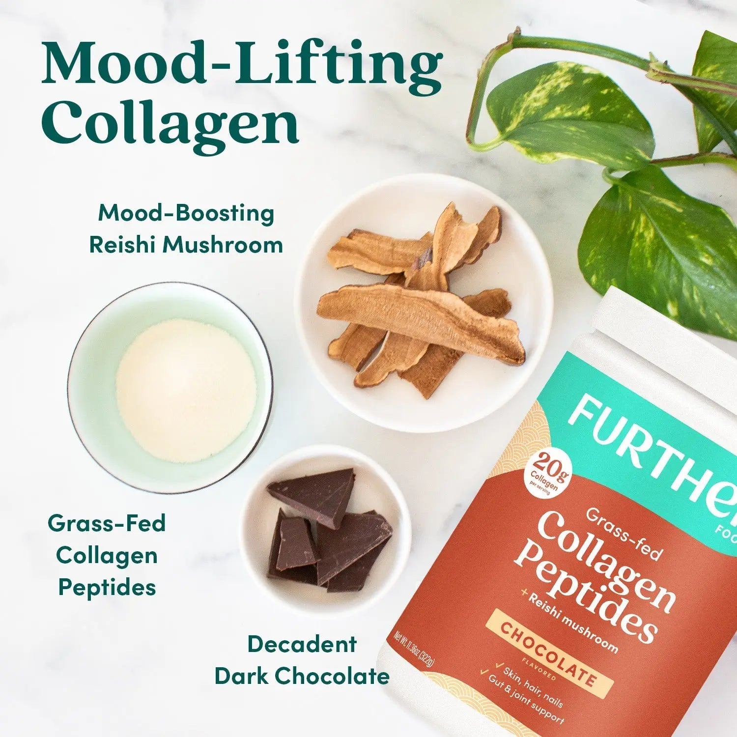 Chocolate Collagen Peptides Powder