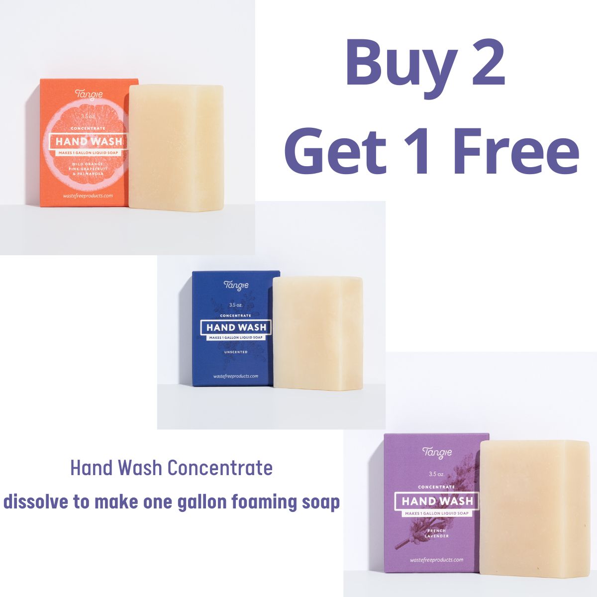 Hand Wash Concentrate | Buy 2 Get 1 Free