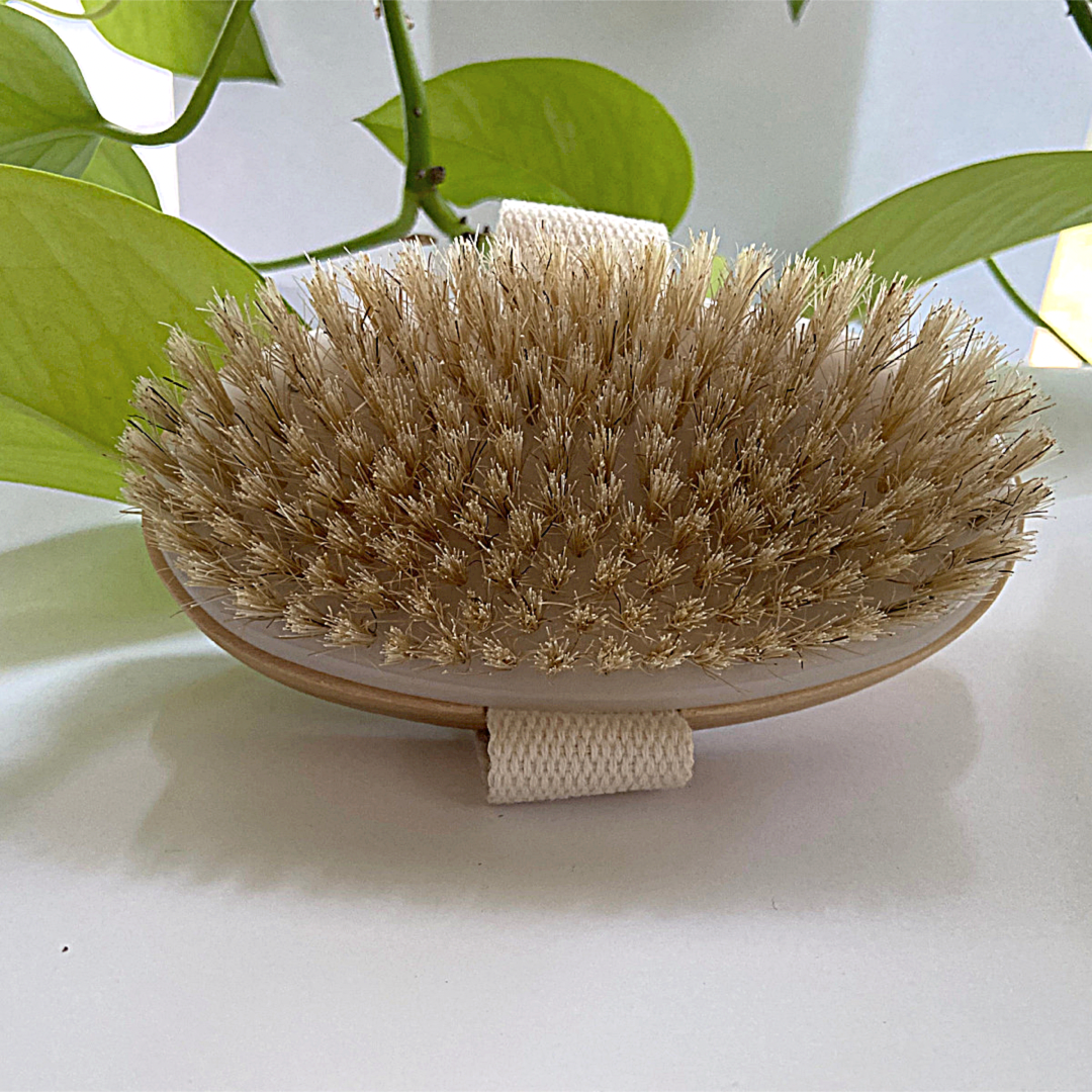 Dry Brushing Body Brush | Detox & Exfoliate