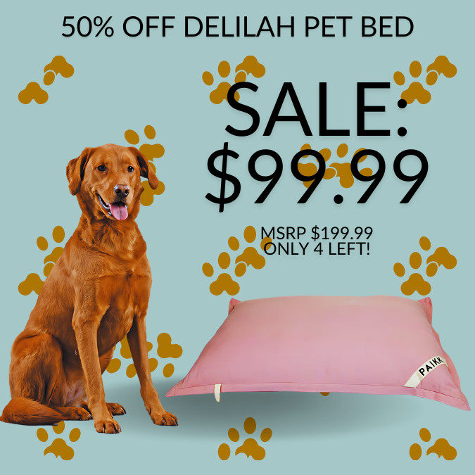 Delilah Home Pet Beds