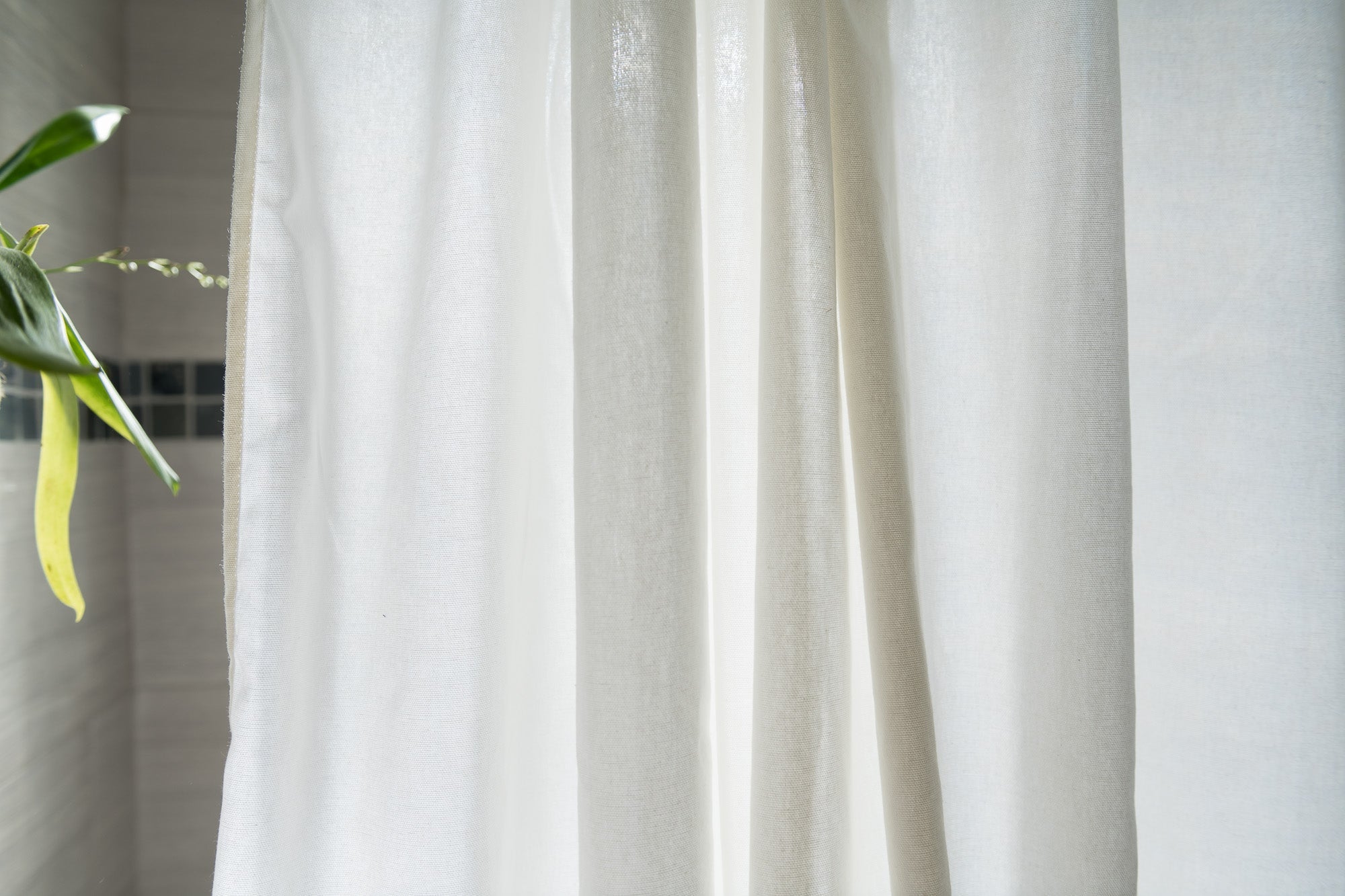 Cotton Shower Curtain – White or Natural