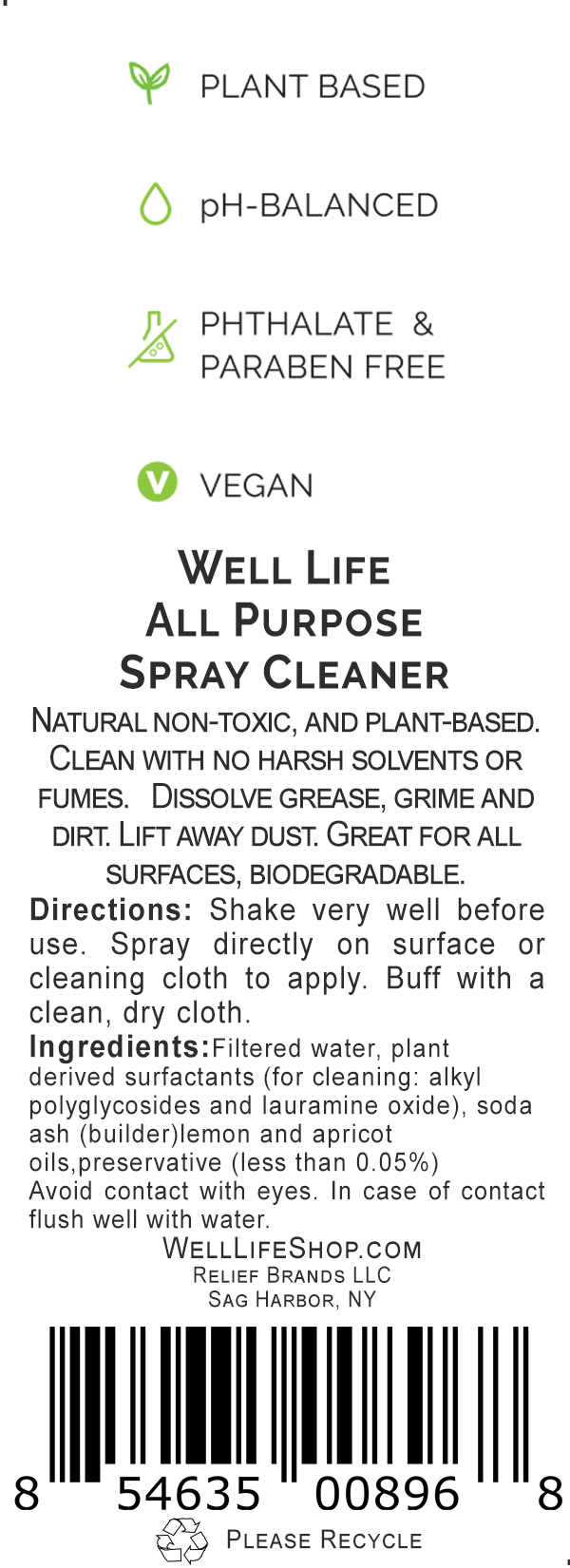 All Purpose Spray Cleanser