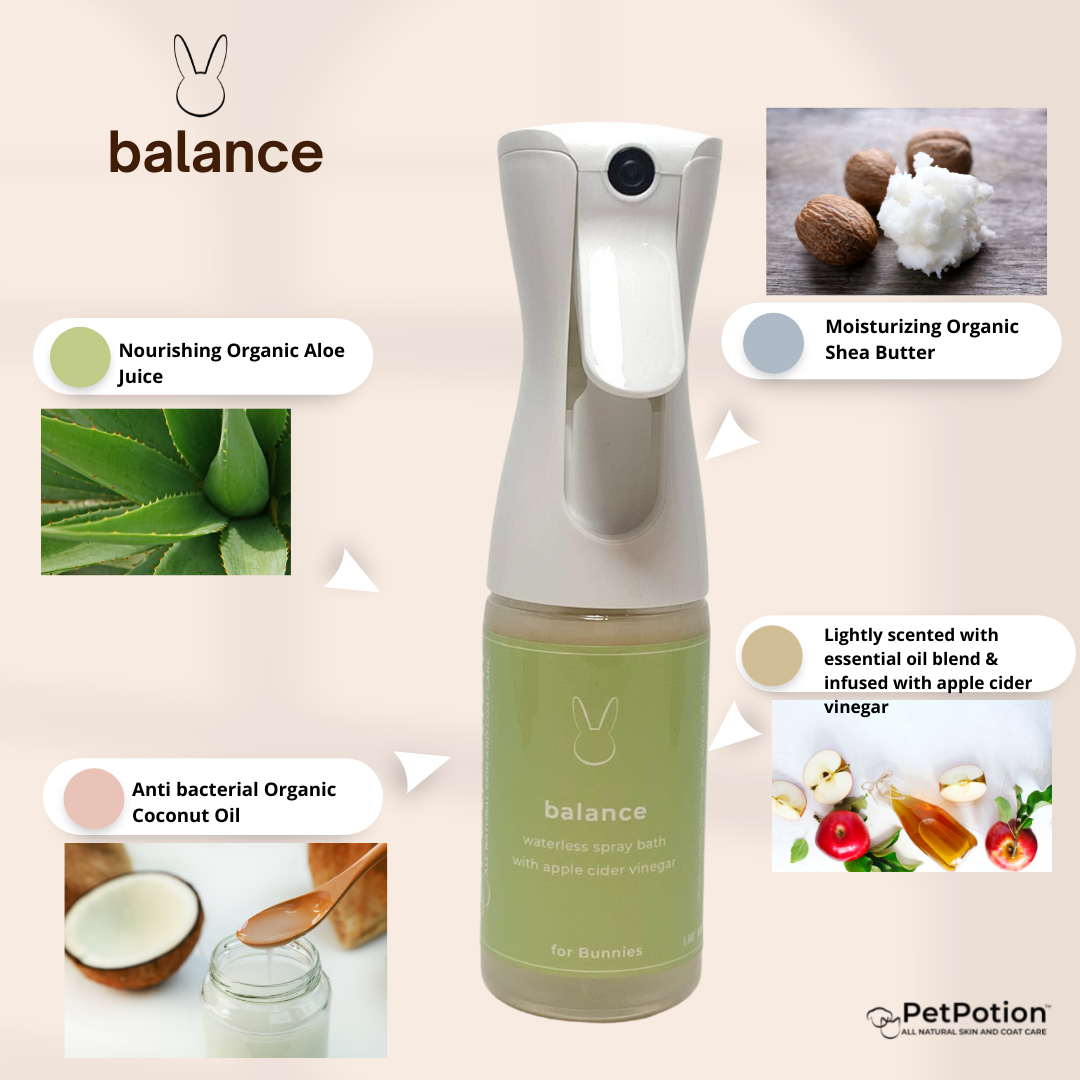 Balance Bunny, Organic, No Rinse, Waterless Misting Spray Shampoo 5.5 oz