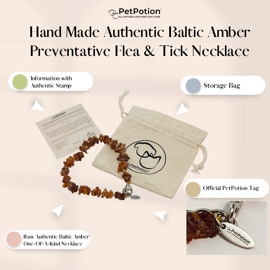 Authentic Baltic Amber Pet Necklace-
