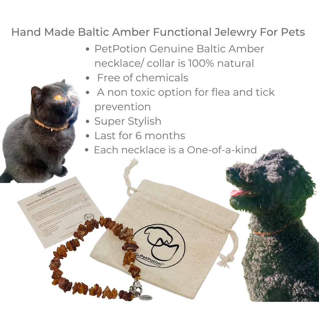 Authentic Baltic Amber Pet Necklace-