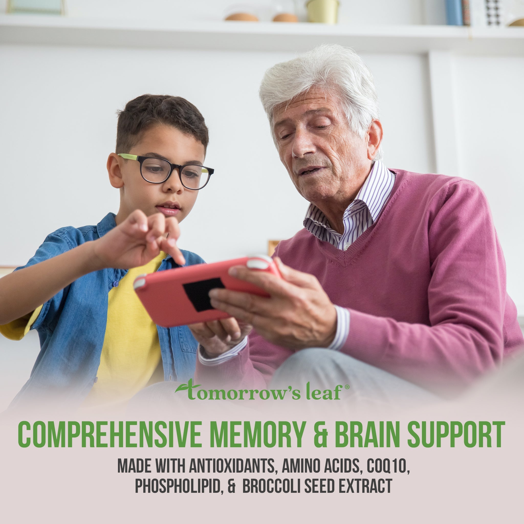 comprehensive-memory-brain-support