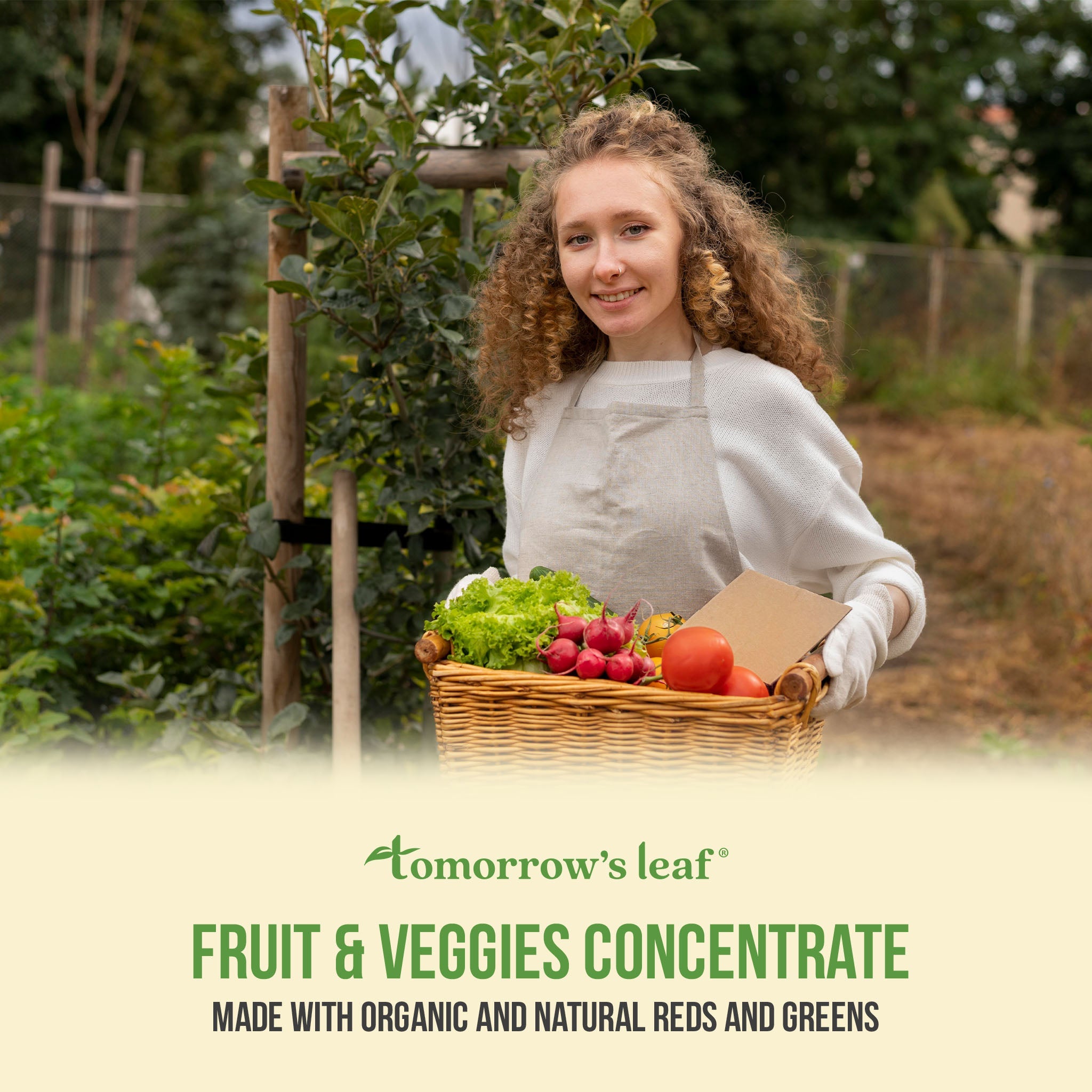 fruits-veggies-concentrate