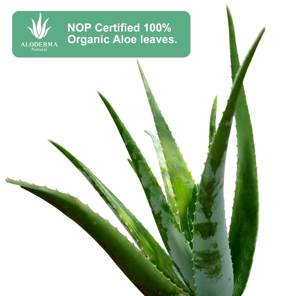 Aloe Hydrating Cleanser
