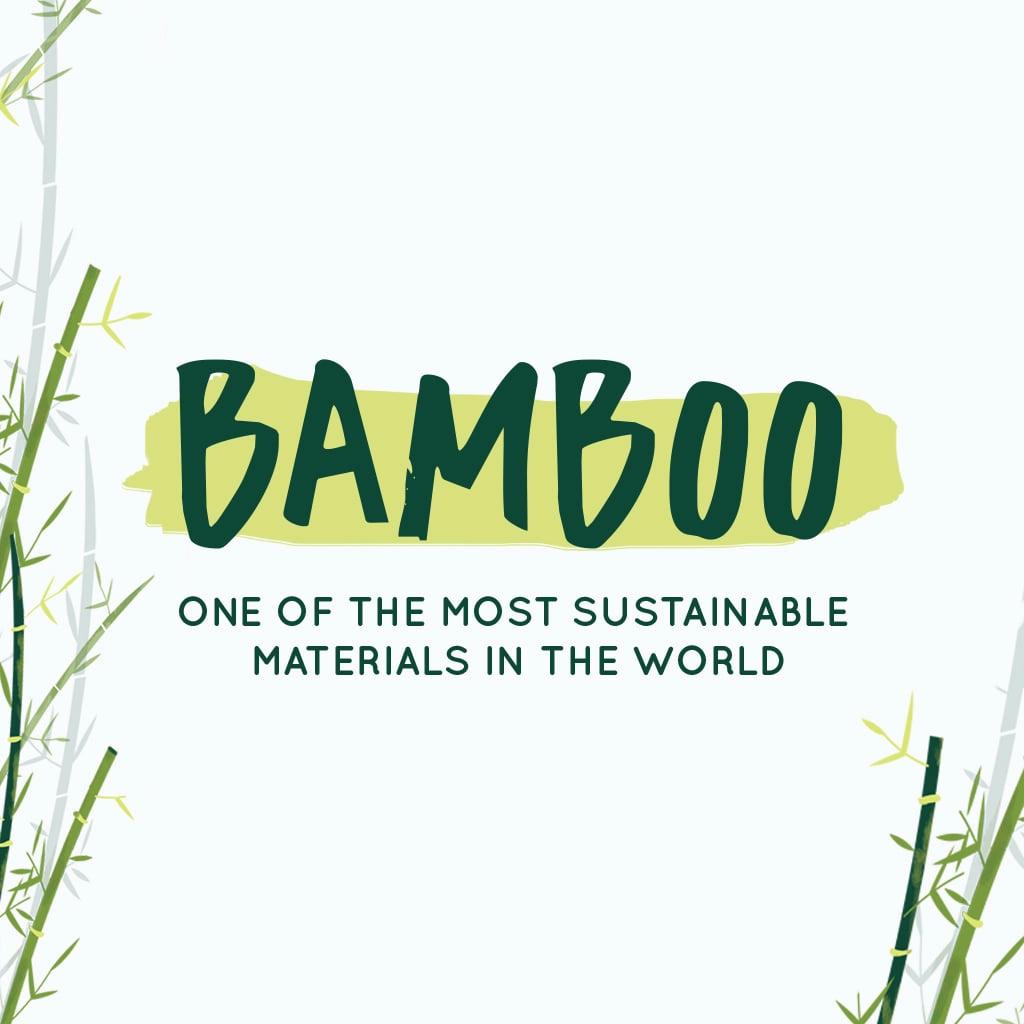 Bamboo Toilet Paper - 12 Rolls