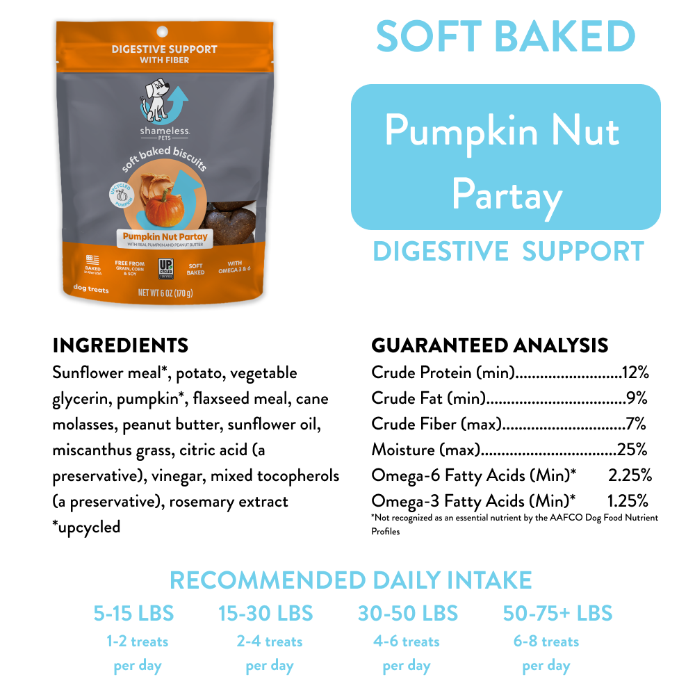 Pumpkin Nut Partay Soft Baked Dog Treats