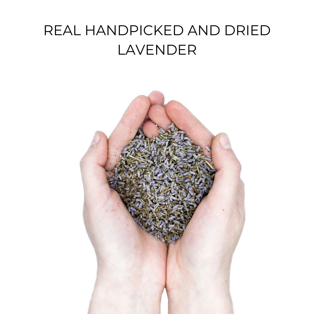 Organic Case - Lavender