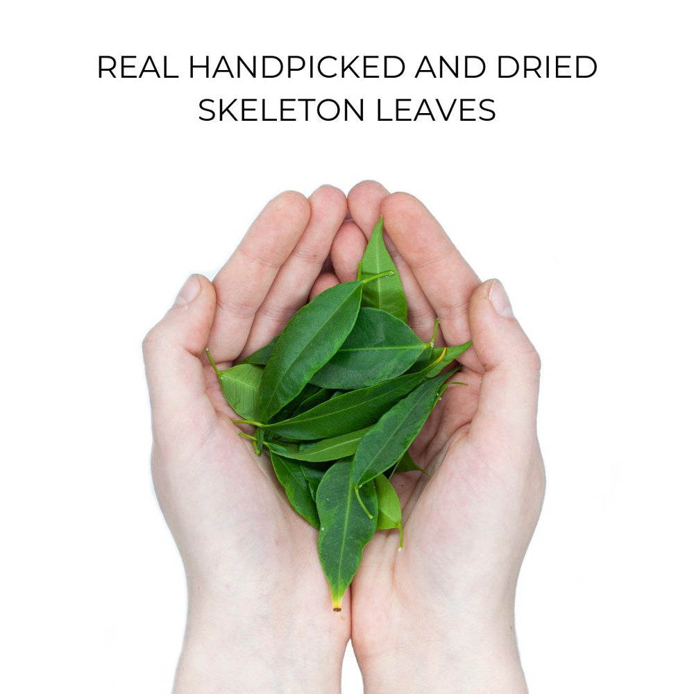 Organic Case - Skeleton Leaves