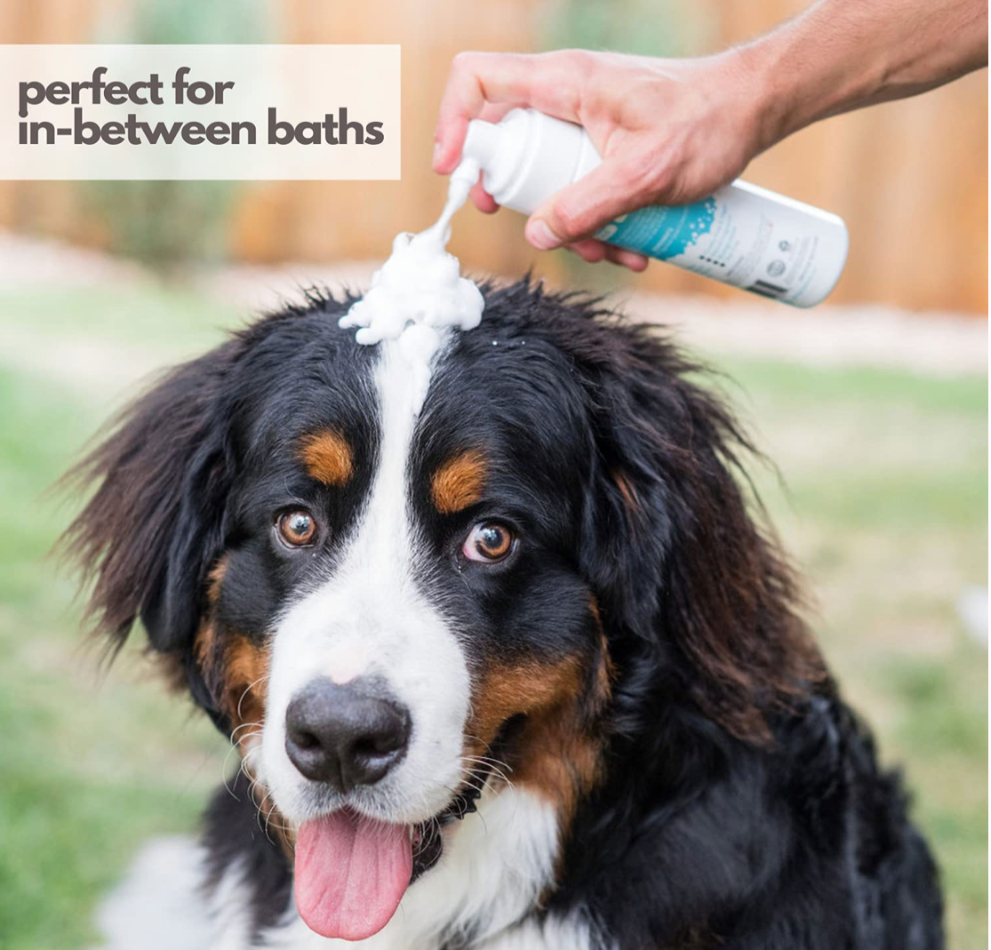 Waterless Foam Dog Shampoo - Fresh Breeze - 30oz