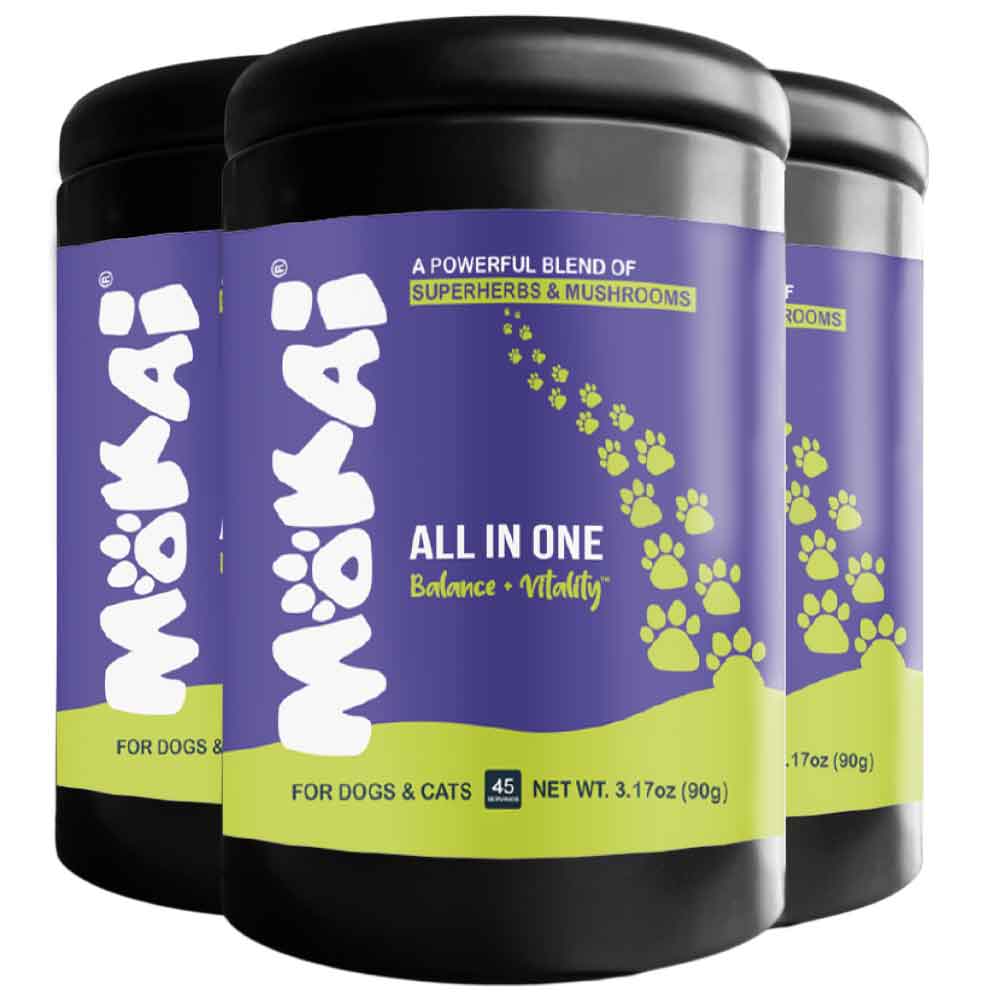 All in One Supplement Powder - Mushrooms for Dogs - 45 Day Supply