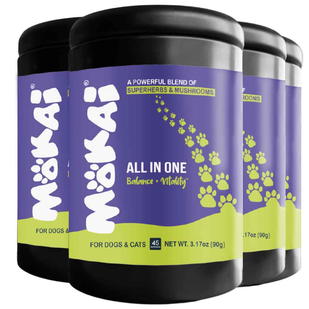 All in One Supplement Powder - Mushrooms for Dogs - 45 Day Supply