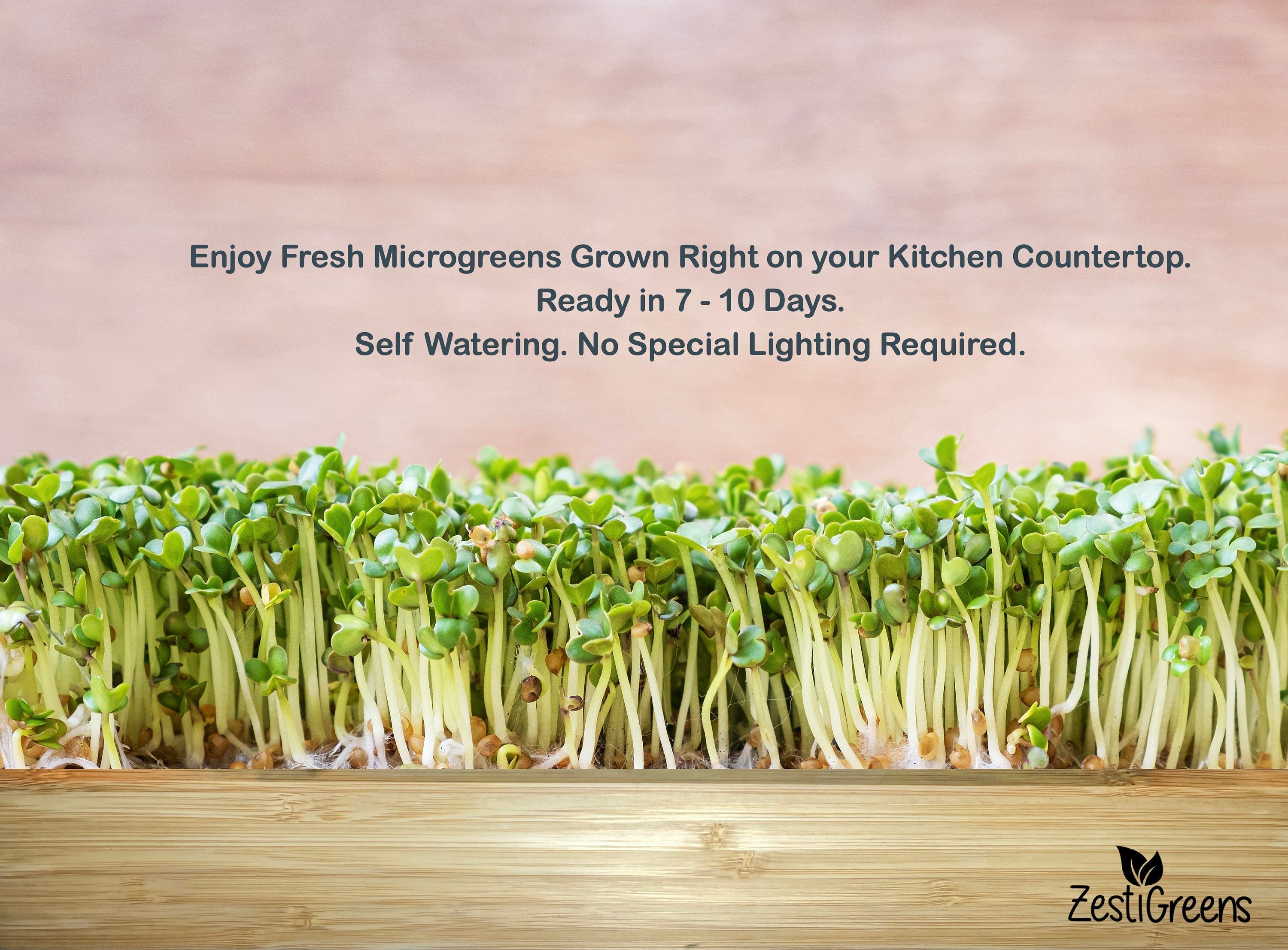 Microgreens Growing Kit Self Watering with 3 Mats and Organic Seeds