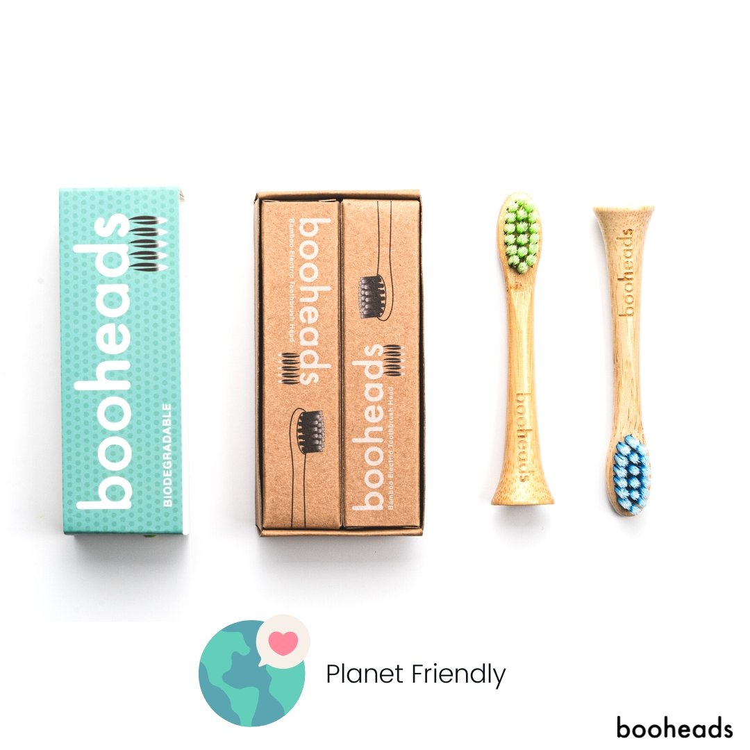Bamboo Electric Toothbrush Heads for Sonicare Polish Clean in Green & Blue- 2 Pack