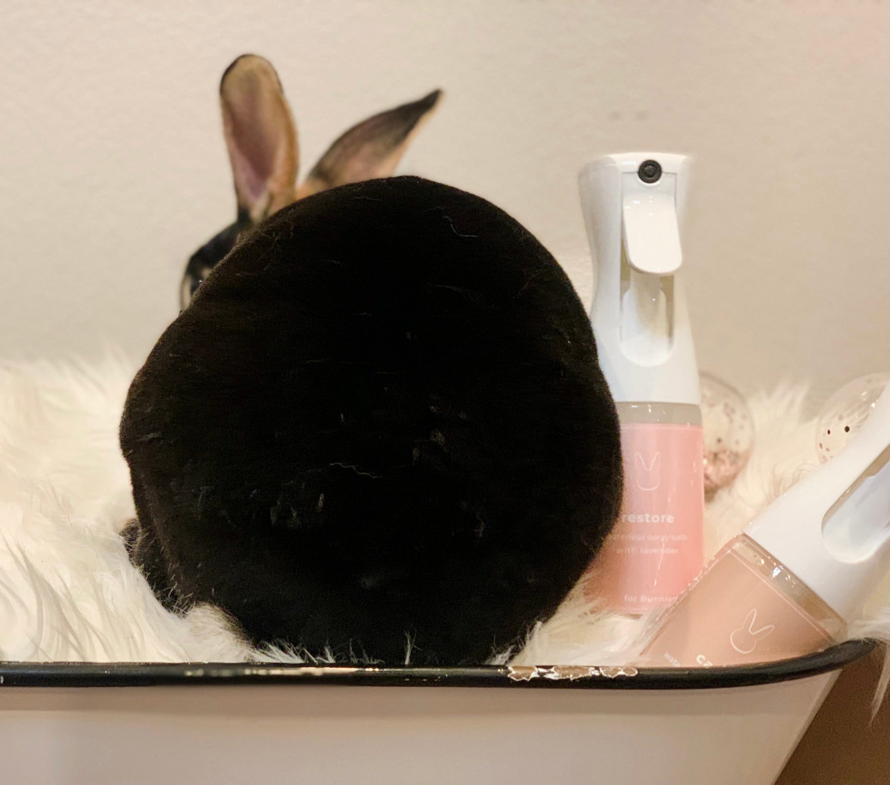 Calm Bunny, Organic, No Rinse Waterless, Misting Spray Shampoo  5.5 oz