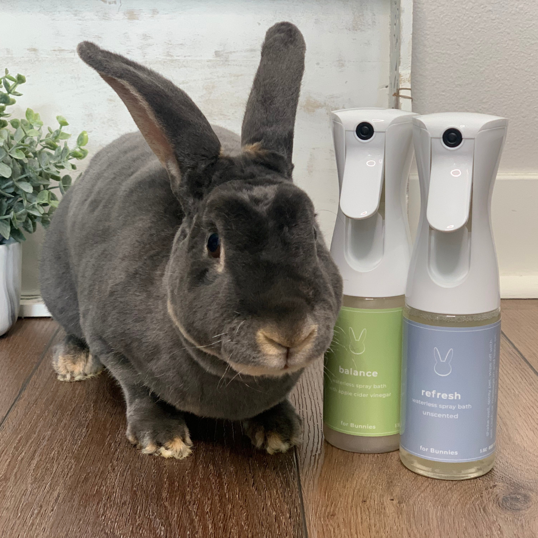Refresh Bunny, Organic,  No Rinse, Waterless, Misting Spray Shampoo 5.5 oz