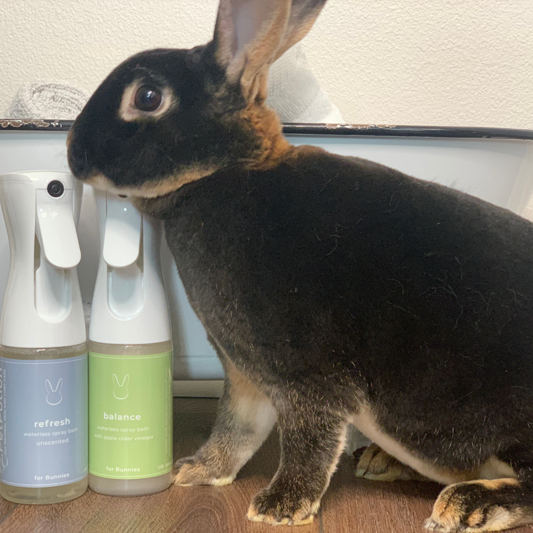 Balance Bunny, Organic, No Rinse, Waterless Misting Spray Shampoo 5.5 oz