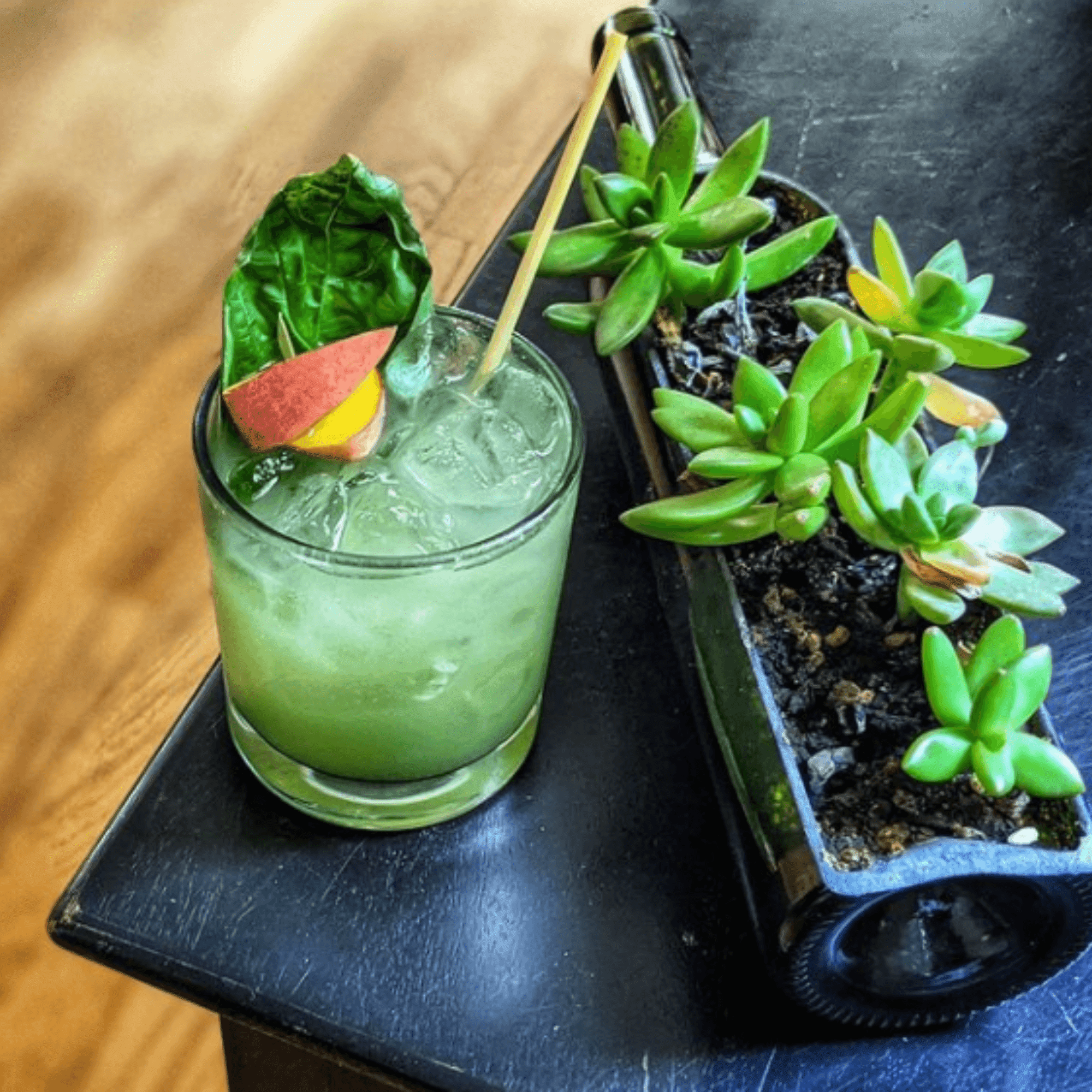 https://flora.co/cdn/shop/products/green-cocktail-and-succulent-on-home-bar_png_fa983245-68cd-4794-85fb-346dfa5bff6d.png?v=1673978668&width=2000