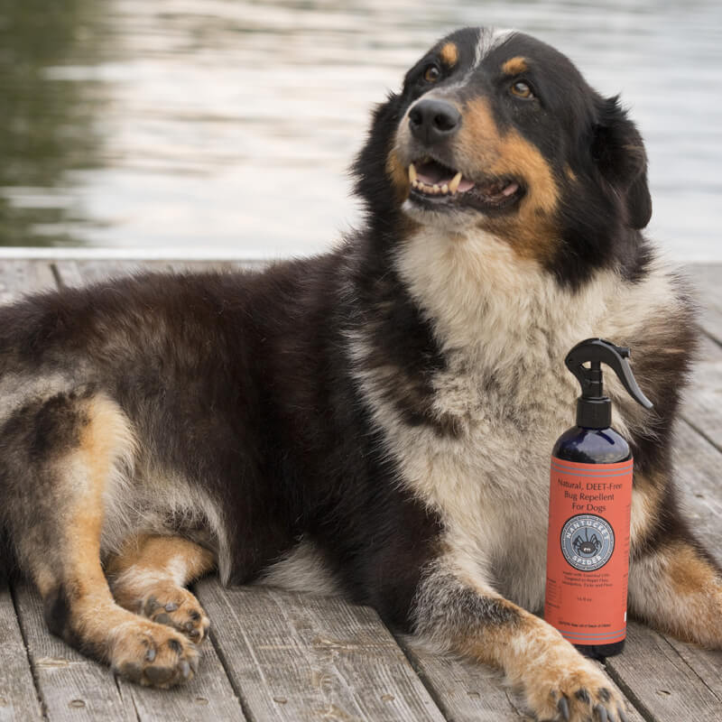 Natural, DEET Free, Bug Repellant Spray for Dogs